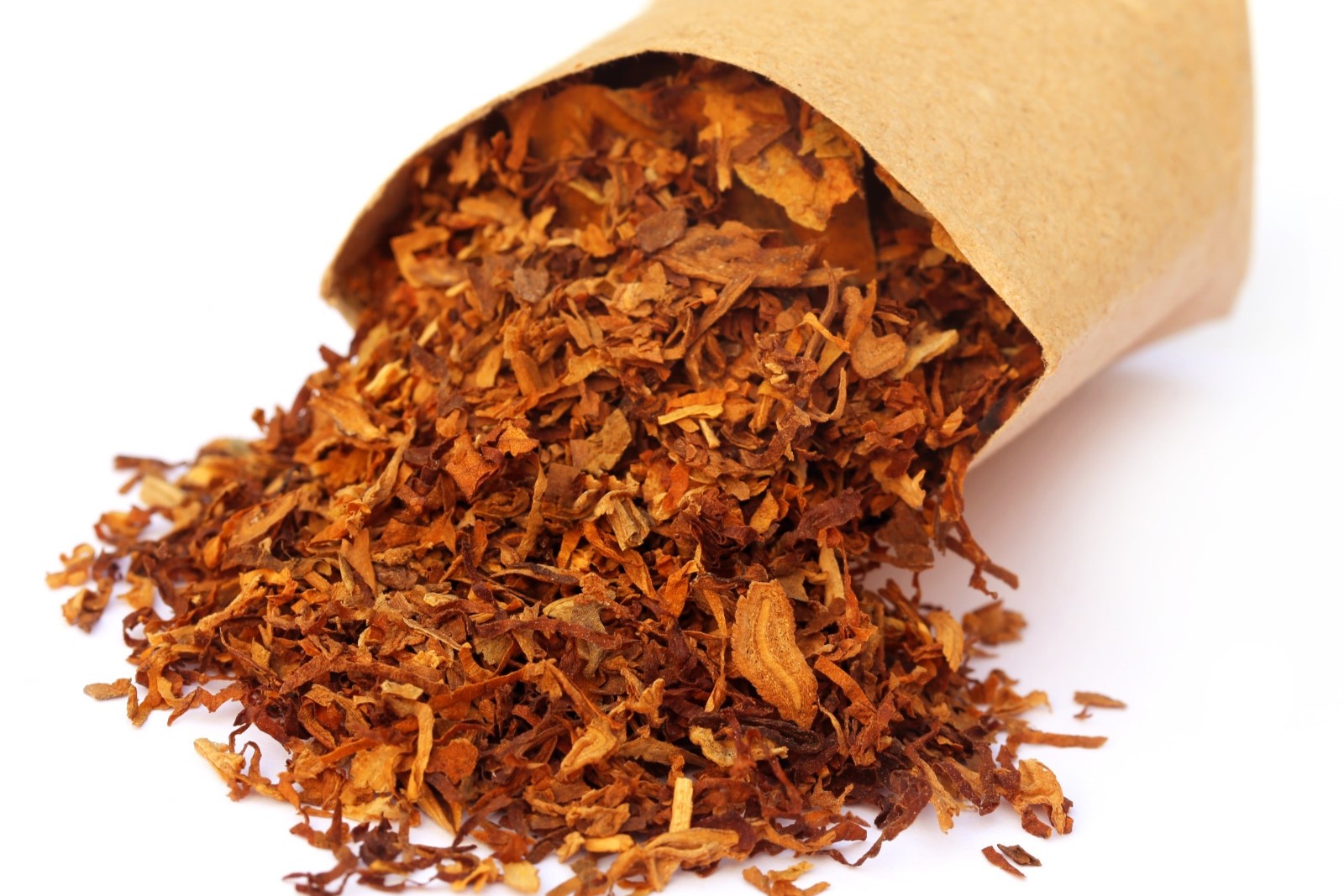 WhatsApp Image 2024-09-09 at 17.13.01_d7536f7e2